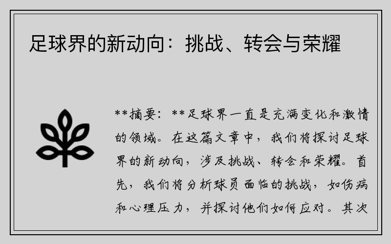 足球界的新动向：挑战、转会与荣耀
